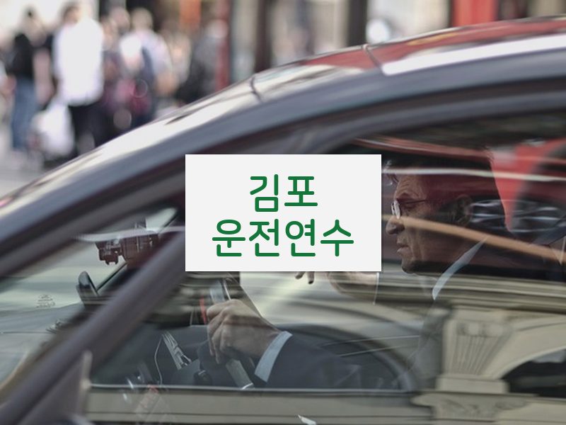김포운전연수 후기
