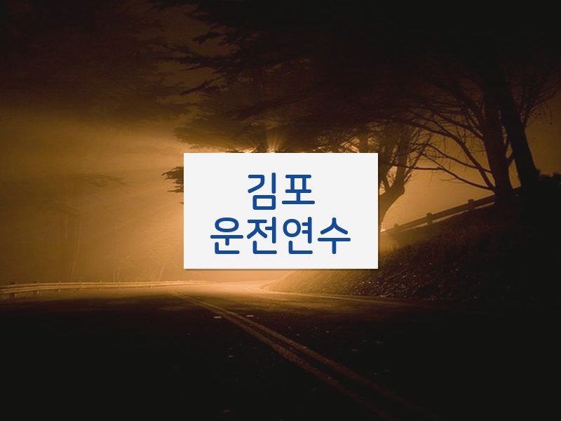 김포운전연수 후기