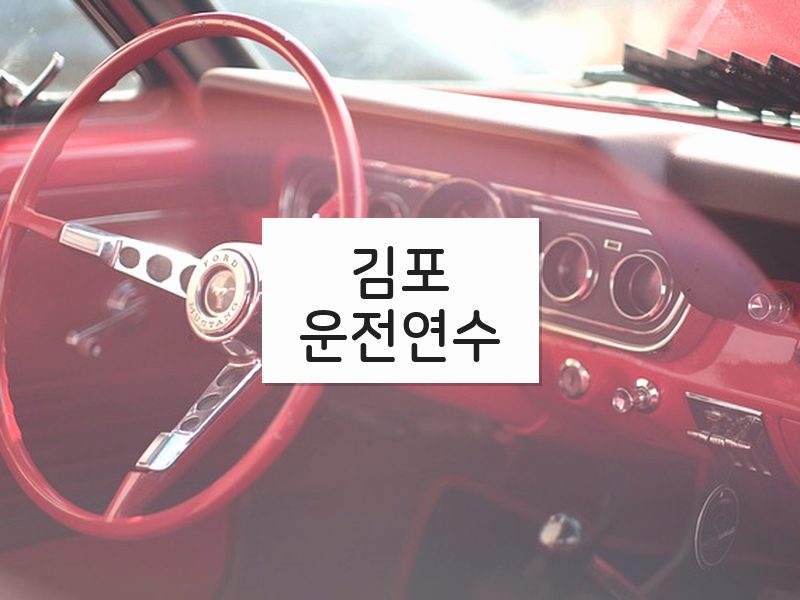 김포운전연수 후기