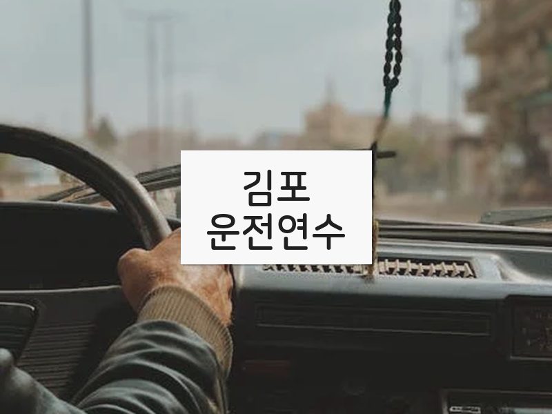 김포운전연수 후기