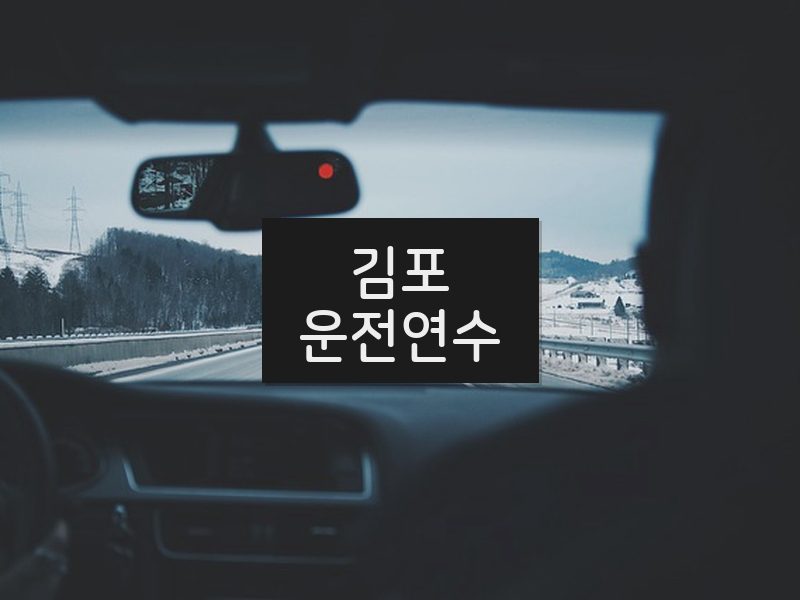 김포운전연수 후기
