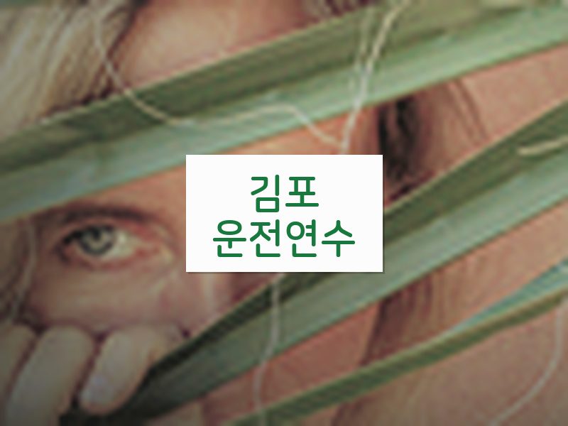 김포운전연수 후기