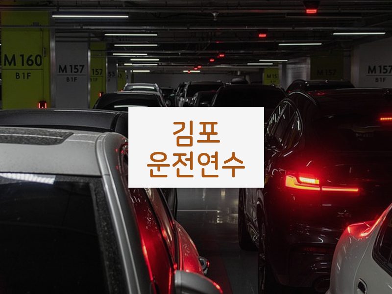김포운전연수 후기