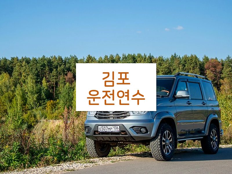 김포운전연수 후기
