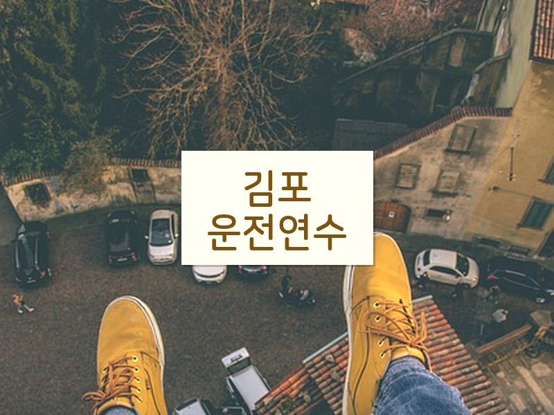 김포운전연수 후기