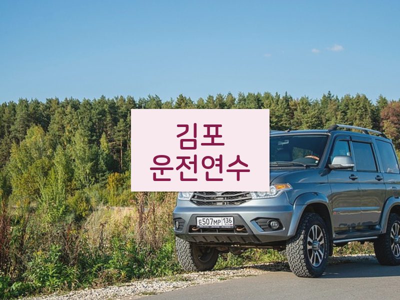 김포운전연수 후기