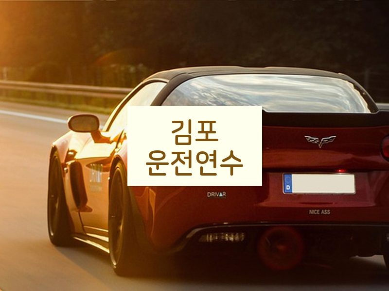 김포운전연수 후기