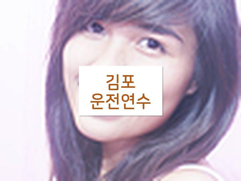 김포운전연수 후기