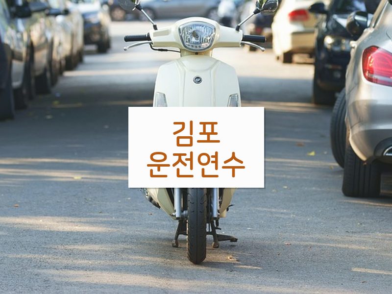 김포운전연수 후기