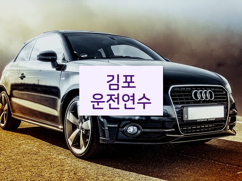 김포운전연수 후기