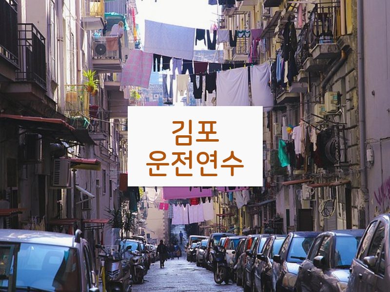 김포운전연수 후기