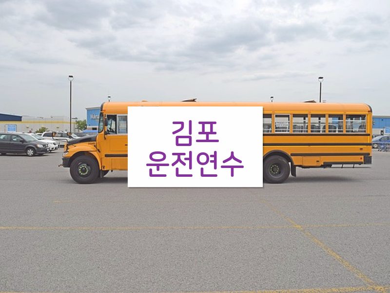 김포운전연수 후기