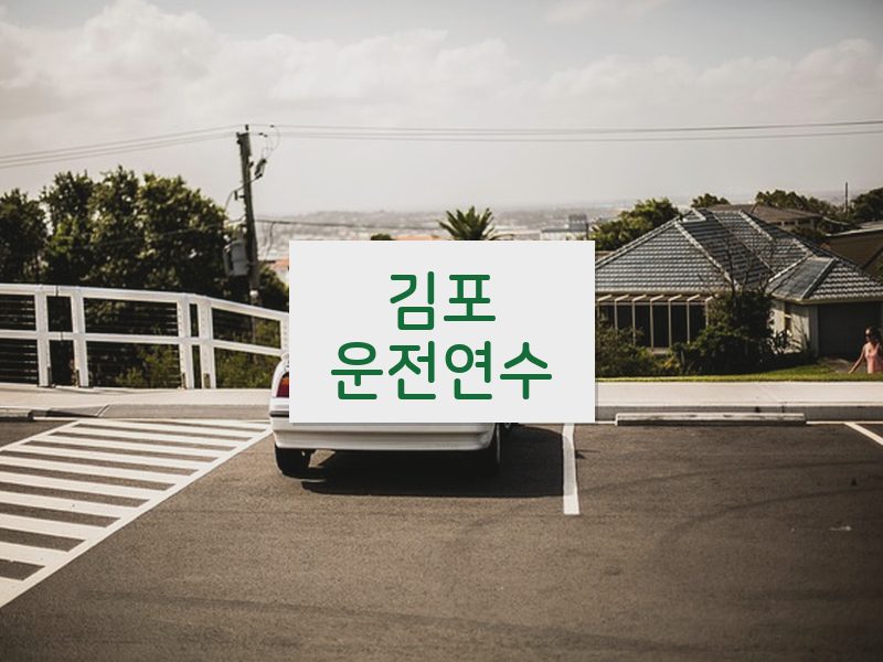 김포운전연수 후기