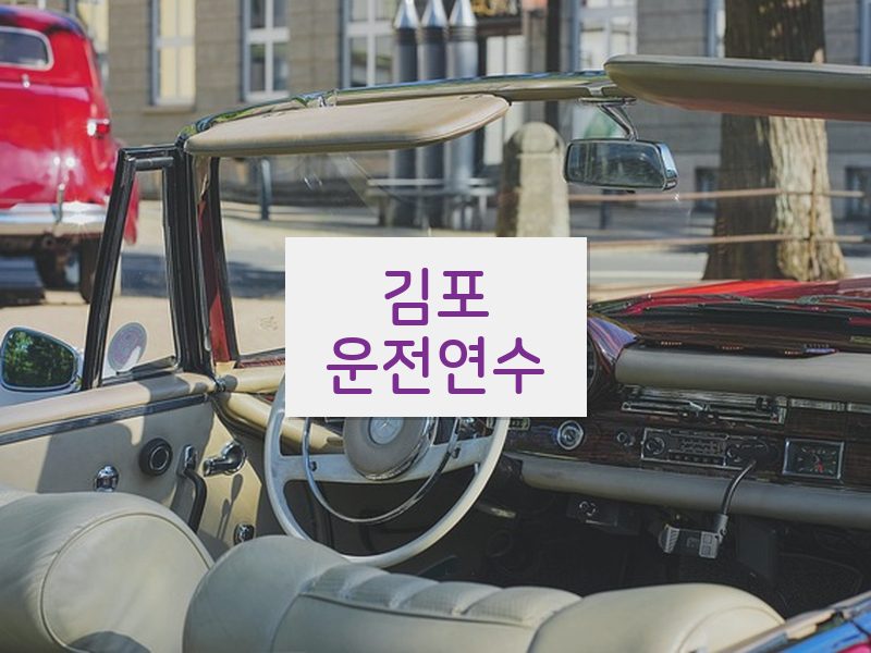 김포운전연수 후기
