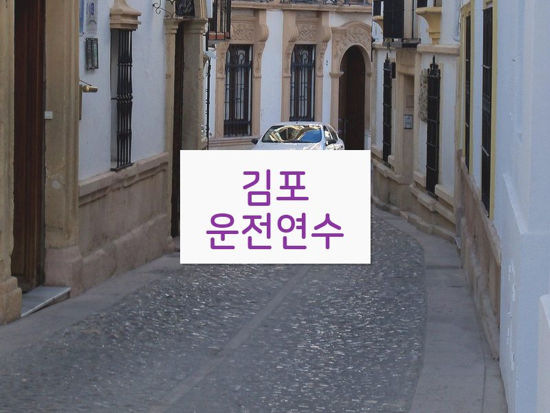 김포운전연수 후기