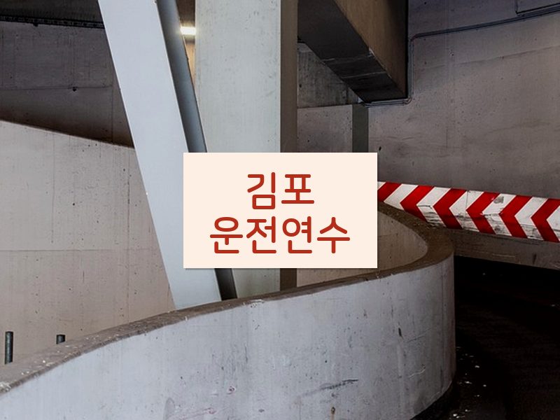 김포운전연수 후기