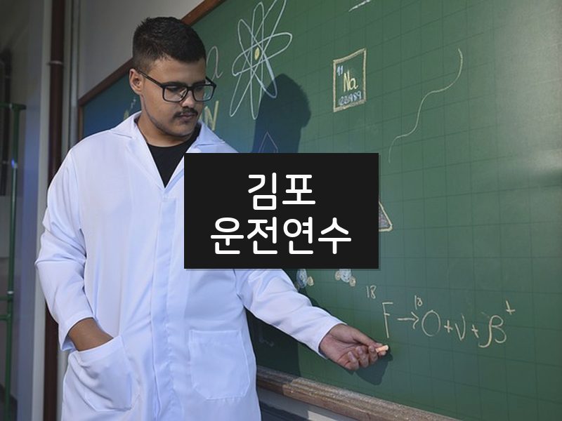 김포운전연수 후기