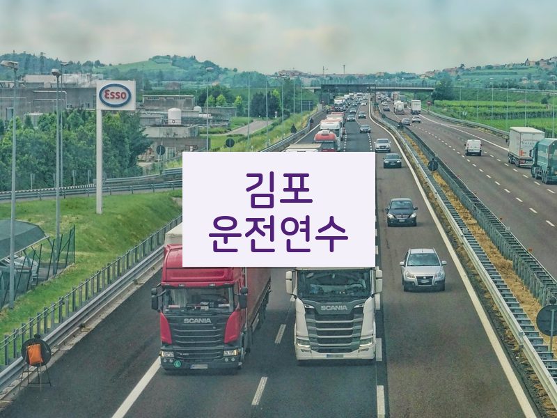 김포운전연수 후기