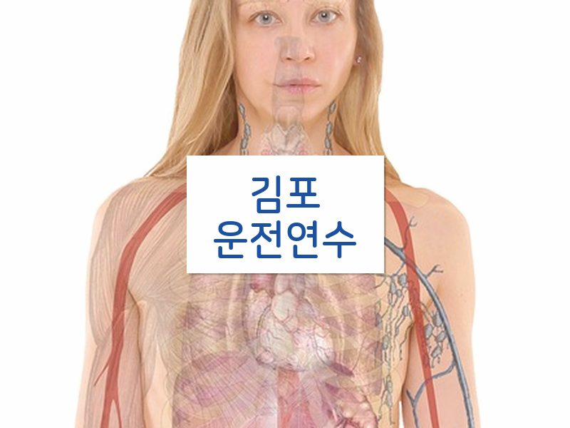 김포운전연수 후기