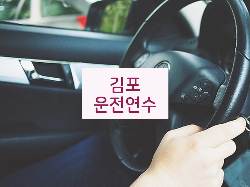 김포운전연수 후기