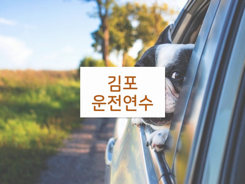 김포운전연수 후기