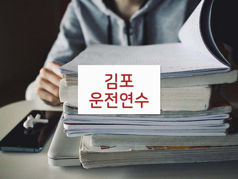 김포운전연수 후기