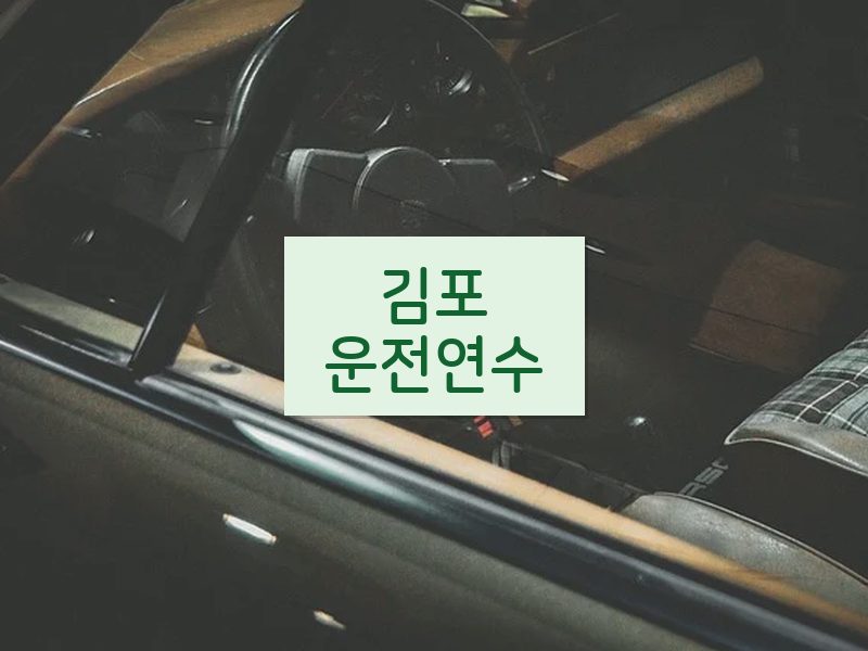김포운전연수 후기