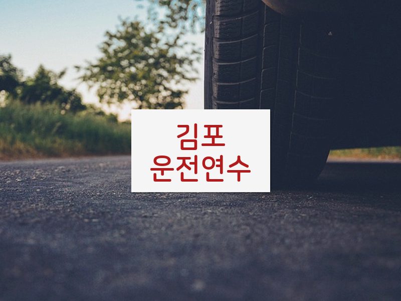 김포운전연수 후기