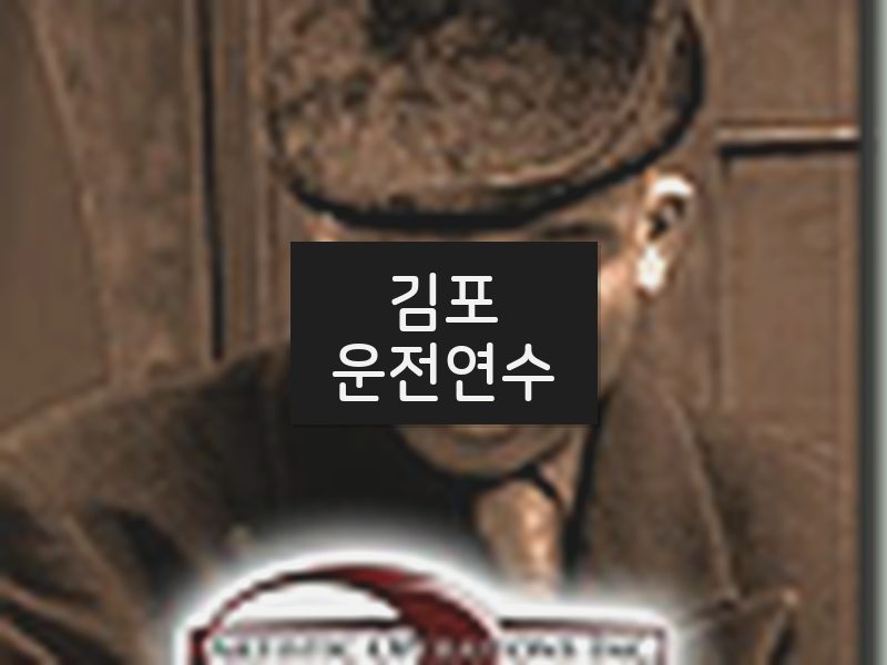 김포운전연수 후기