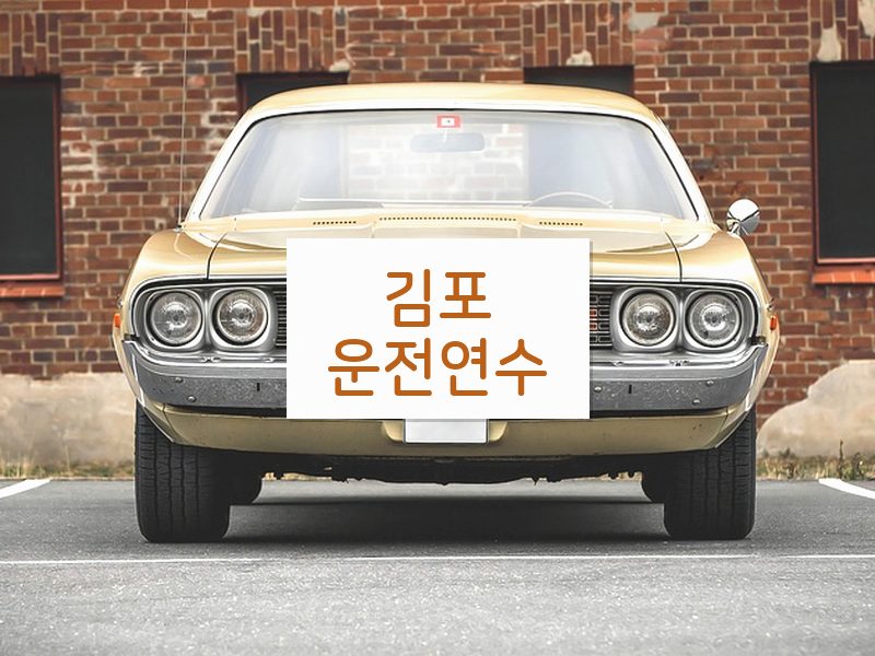 김포운전연수 후기