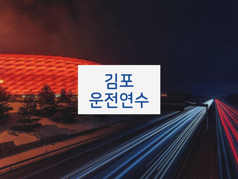 김포운전연수 후기
