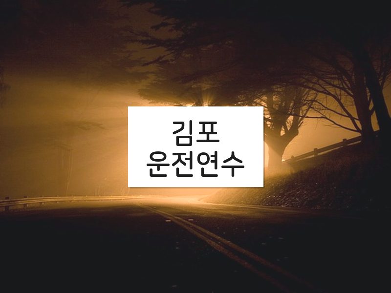 김포운전연수 후기
