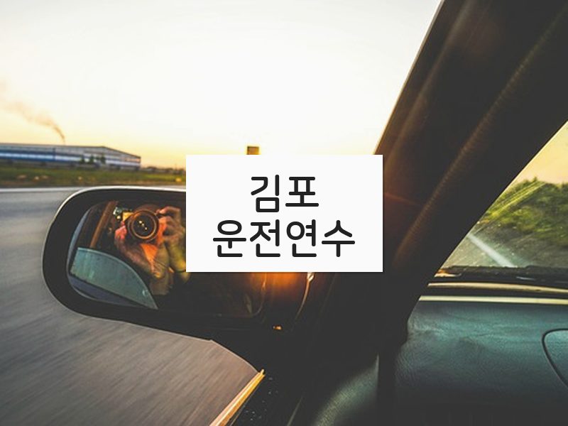김포운전연수 후기