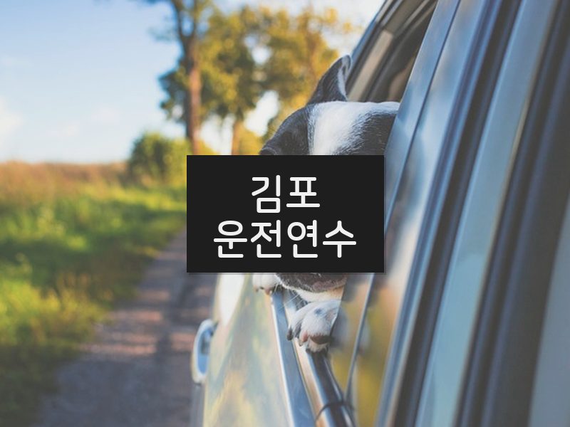 김포운전연수 후기