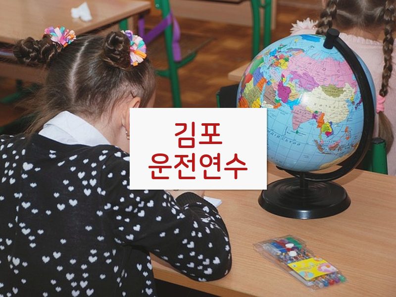 김포운전연수 후기