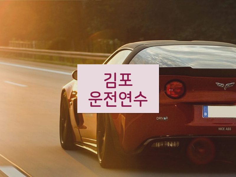 김포운전연수 후기