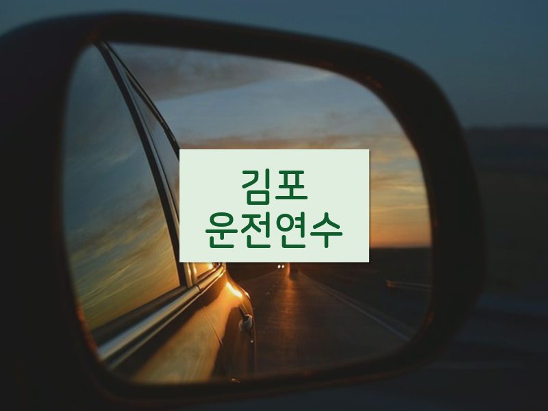 김포운전연수 후기