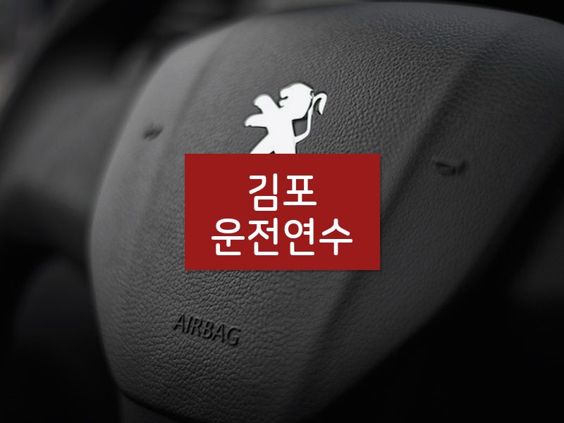 김포운전연수 후기