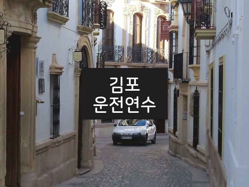 김포운전연수 후기