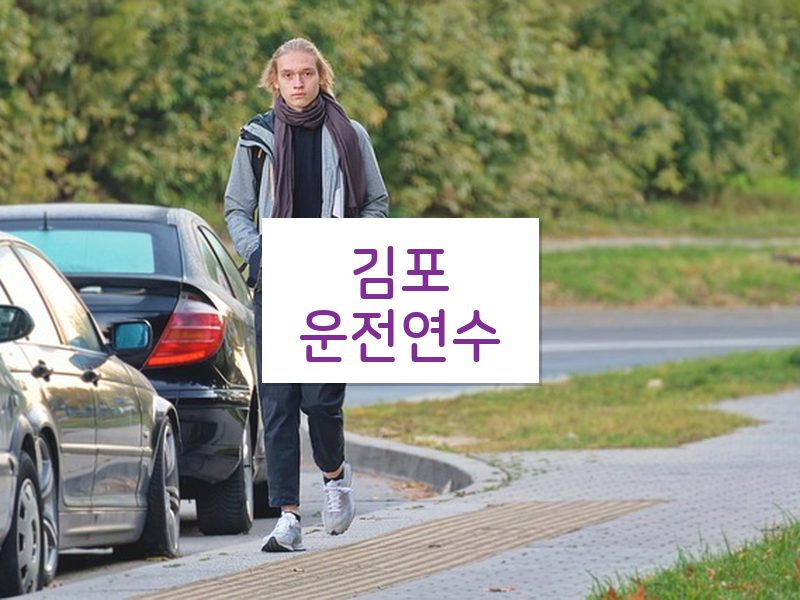 김포운전연수 후기