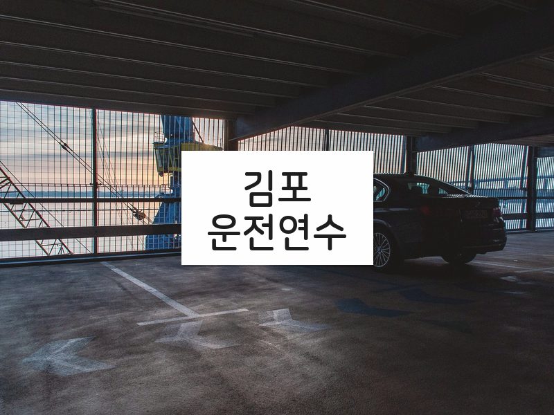 김포운전연수 후기