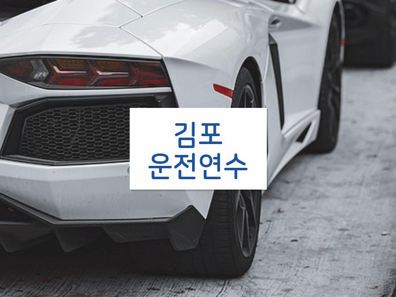 김포운전연수 후기
