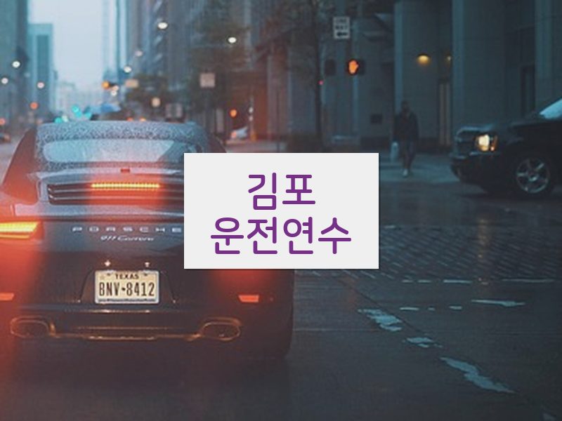 김포운전연수 후기