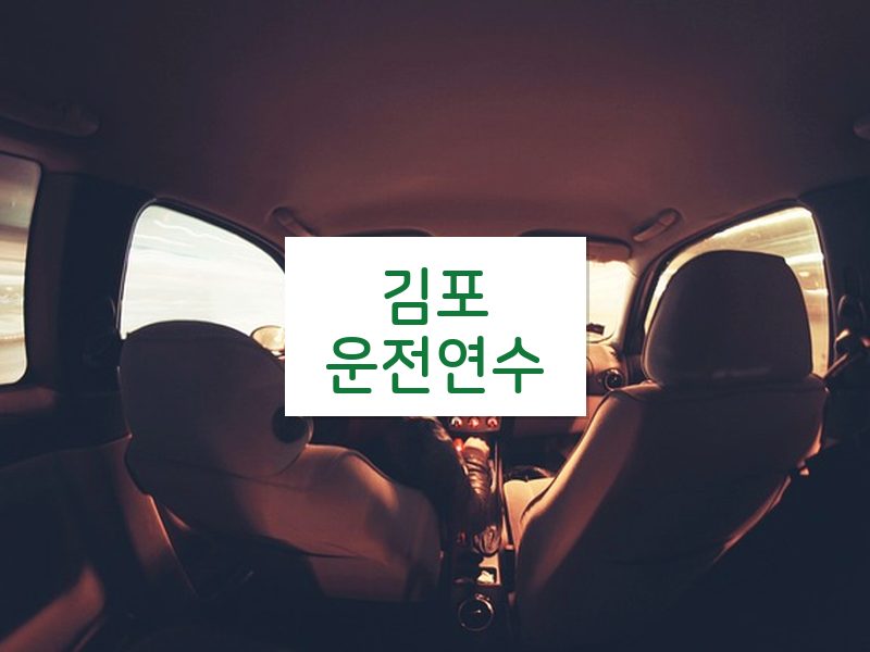 김포운전연수 후기