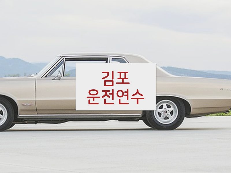 김포운전연수 후기