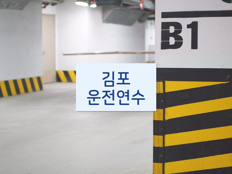 김포운전연수 후기