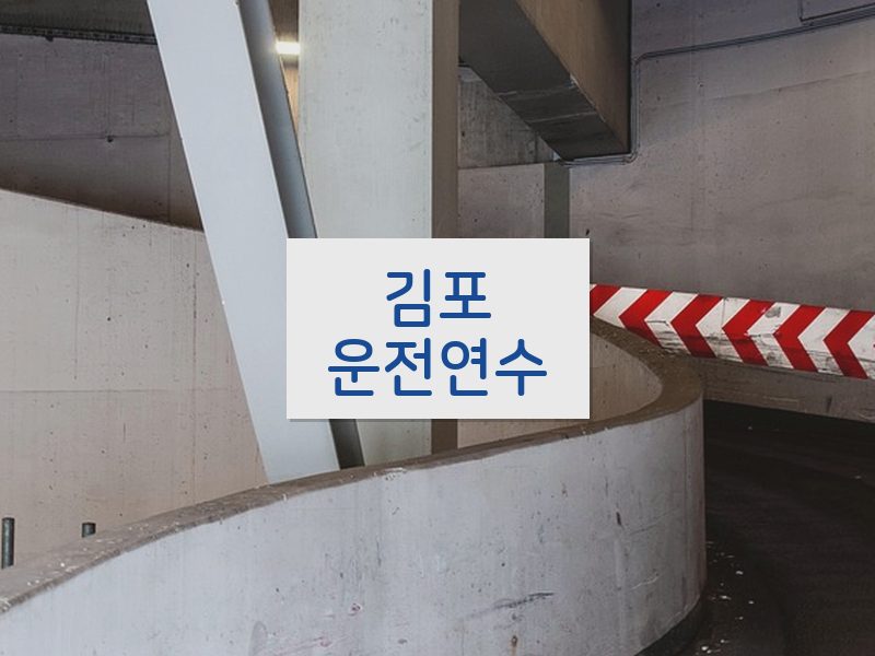 김포운전연수 후기