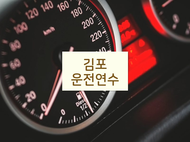 김포운전연수 후기