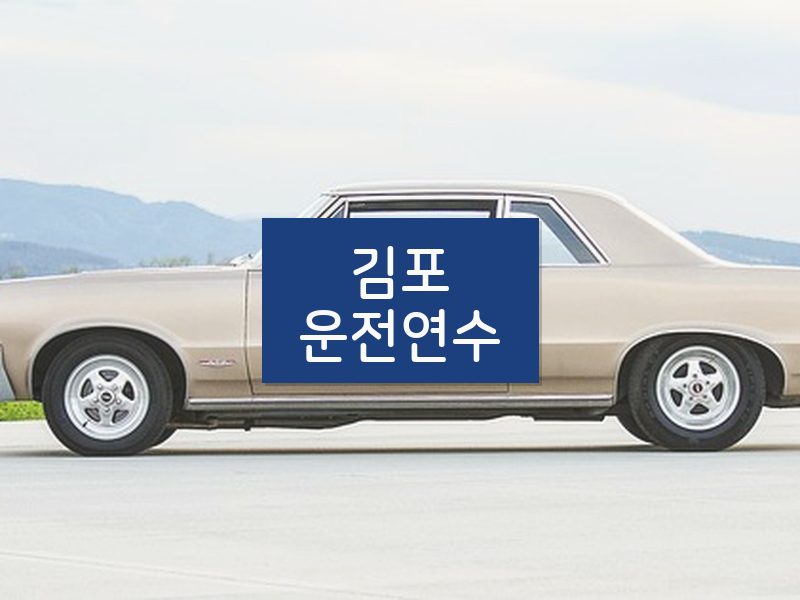 김포운전연수 후기