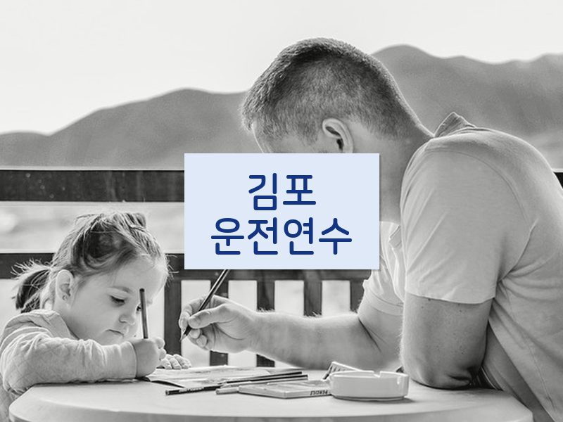김포운전연수 후기
